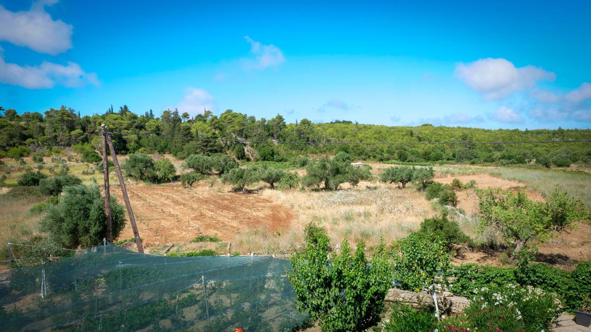 Fterini Apartments Sterna & Alletri Agios Leon ภายนอก รูปภาพ